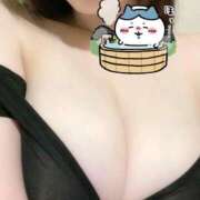 ヒメ日記 2024/12/21 08:14 投稿 ひな 天空のマット