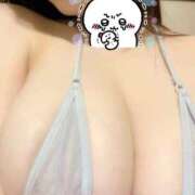 ヒメ日記 2025/01/03 08:40 投稿 ひな 天空のマット