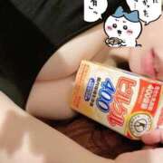 ヒメ日記 2025/01/24 08:00 投稿 ひな 天空のマット