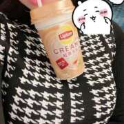 ヒメ日記 2025/02/02 08:00 投稿 ひな 天空のマット