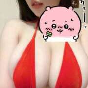 ヒメ日記 2025/02/24 08:29 投稿 ひな 天空のマット