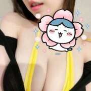 ヒメ日記 2025/04/05 08:01 投稿 ひな 天空のマット