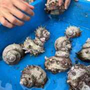 ヒメ日記 2025/04/28 08:21 投稿 ひな 天空のマット