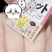 ヒメ日記 2025/05/10 08:18 投稿 ひな 天空のマット