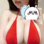 ヒメ日記 2025/05/23 08:21 投稿 ひな 天空のマット