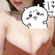 ヒメ日記 2025/08/31 08:11 投稿 ひな 天空のマット