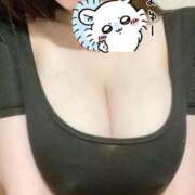 ヒメ日記 2025/12/29 08:21 投稿 ひな 天空のマット