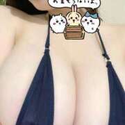 ヒメ日記 2026/01/24 08:39 投稿 ひな 天空のマット