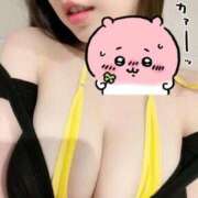 ヒメ日記 2026/02/28 08:21 投稿 ひな 天空のマット