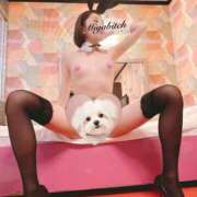 ヒメ日記 2025/01/23 15:21 投稿 みやび MIKADO