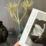 ヒメ日記 2025/05/26 22:54 投稿 みやび MIKADO