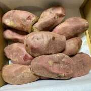 ヒメ日記 2025/06/22 17:41 投稿 みやび MIKADO