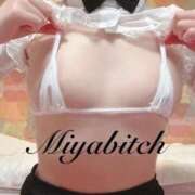 ヒメ日記 2025/07/21 14:41 投稿 みやび MIKADO