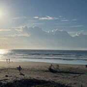 ヒメ日記 2025/12/24 19:01 投稿 みやび MIKADO