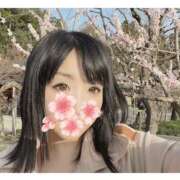 ヒメ日記 2026/03/24 11:29 投稿 うらん ラ・タンゴ