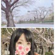 ヒメ日記 2026/04/02 11:26 投稿 うらん ラ・タンゴ