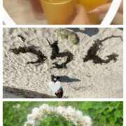 ヒメ日記 2026/04/15 11:22 投稿 うらん ラ・タンゴ