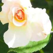 ヒメ日記 2025/01/11 23:13 投稿 かおり 熟女の風俗最終章 蒲田店