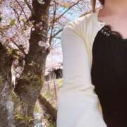 ヒメ日記 2025/04/06 09:08 投稿 千景（ちかげ） エッチな熟女(熊谷)