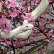 ヒメ日記 2025/01/04 11:20 投稿 うるは～M性感～ アメイジングビル～道後最大級！遊び方無限大∞ヘルス♪～