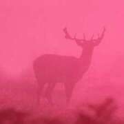 ヒメ日記 2025/08/04 14:14 投稿 うるは～M性感～ アメイジングビル～道後最大級！遊び方無限大∞ヘルス♪～