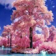 ヒメ日記 2026/03/10 08:15 投稿 うるは～M性感～ アメイジングビル～道後最大級！遊び方無限大∞ヘルス♪～