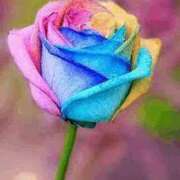 ヒメ日記 2026/03/13 12:58 投稿 うるは～M性感～ アメイジングビル～道後最大級！遊び方無限大∞ヘルス♪～