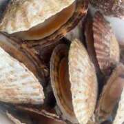 ヒメ日記 2025/01/02 12:16 投稿 美桜（さくら）～M性感～ アメイジングビル～道後最大級！遊び方無限大∞ヘルス♪～