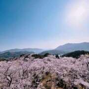 ヒメ日記 2025/04/07 14:14 投稿 のあ～マット～ アメイジングビル～道後最大級！遊び方無限大∞ヘルス♪～