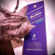 ヒメ日記 2025/04/20 02:59 投稿 のあ～マット～ アメイジングビル～道後最大級！遊び方無限大∞ヘルス♪～