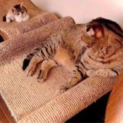 ヒメ日記 2025/10/21 11:56 投稿 のあ～マット～ アメイジングビル～道後最大級！遊び方無限大∞ヘルス♪～