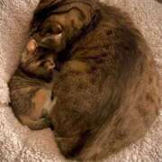 ヒメ日記 2025/10/26 02:18 投稿 のあ～マット～ アメイジングビル～道後最大級！遊び方無限大∞ヘルス♪～