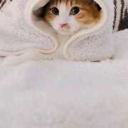 ヒメ日記 2026/01/22 11:17 投稿 のあ～マット～ アメイジングビル～道後最大級！遊び方無限大∞ヘルス♪～