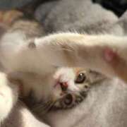 ヒメ日記 2026/02/22 22:22 投稿 のあ～マット～ アメイジングビル～道後最大級！遊び方無限大∞ヘルス♪～