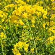 ヒメ日記 2026/03/08 16:42 投稿 のあ～マット～ アメイジングビル～道後最大級！遊び方無限大∞ヘルス♪～