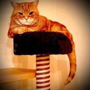 ヒメ日記 2026/03/28 00:31 投稿 のあ～マット～ アメイジングビル～道後最大級！遊び方無限大∞ヘルス♪～