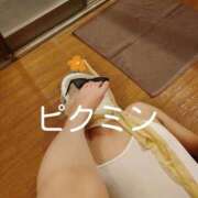 ヒメ日記 2024/12/20 20:06 投稿 あさき～M性感～ アメイジングビル～道後最大級！遊び方無限大∞ヘルス♪～