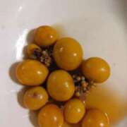 ヒメ日記 2025/03/26 23:27 投稿 あさき～M性感～ アメイジングビル～道後最大級！遊び方無限大∞ヘルス♪～