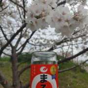 ヒメ日記 2025/04/02 18:33 投稿 あさき～M性感～ アメイジングビル～道後最大級！遊び方無限大∞ヘルス♪～