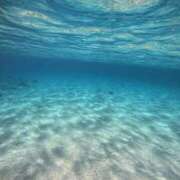 ヒメ日記 2024/12/14 15:23 投稿 高島みなみ SUMIRE