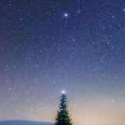 ヒメ日記 2024/12/24 15:20 投稿 高島みなみ SUMIRE