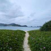 ヒメ日記 2024/12/27 15:22 投稿 高島みなみ SUMIRE