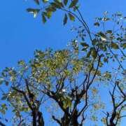 ヒメ日記 2025/01/18 15:12 投稿 高島みなみ SUMIRE