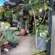 ヒメ日記 2025/01/31 15:47 投稿 高島みなみ SUMIRE