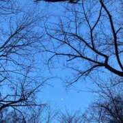 ヒメ日記 2025/02/11 12:17 投稿 高島みなみ SUMIRE