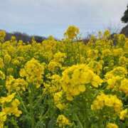 ヒメ日記 2025/02/21 15:13 投稿 高島みなみ SUMIRE