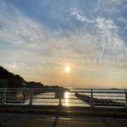 ヒメ日記 2025/03/14 15:14 投稿 高島みなみ SUMIRE