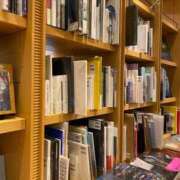 ヒメ日記 2025/03/15 16:15 投稿 高島みなみ SUMIRE