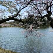 ヒメ日記 2025/04/09 11:24 投稿 高島みなみ SUMIRE