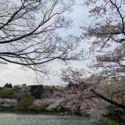 ヒメ日記 2025/04/10 15:28 投稿 高島みなみ SUMIRE